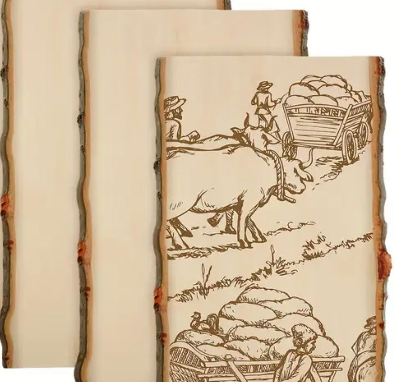 6 X 12 Oak Wood Plank